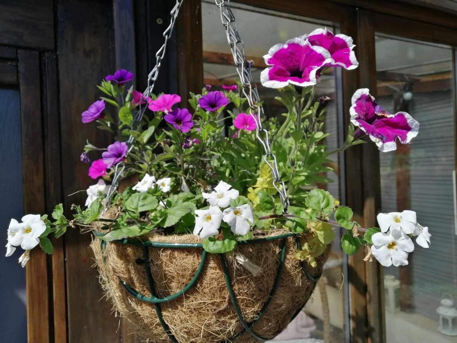 Normand Holiday Home - Vire Calvados Relaxing Rural Retreat Le Reculey Luaran gambar